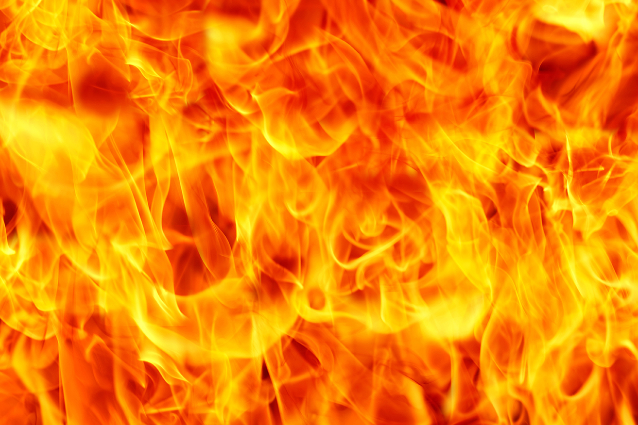 banner_img