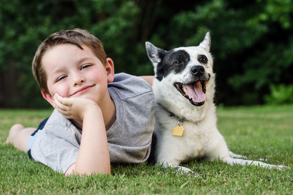 A boy smiles while lying in the grass with an arm around his dog